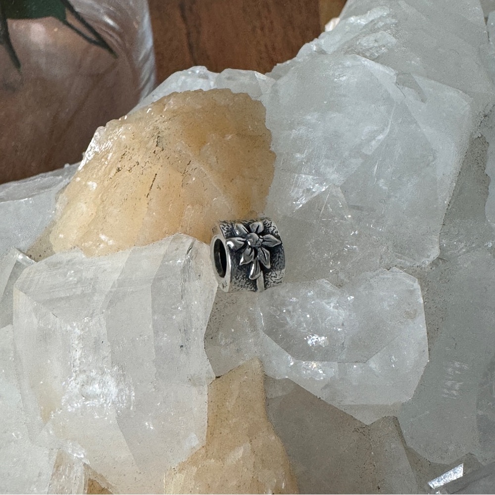 Pandora Authentic Retired Rare Poinsettia Flower Silver Charm Bead - Picture 5 of 6